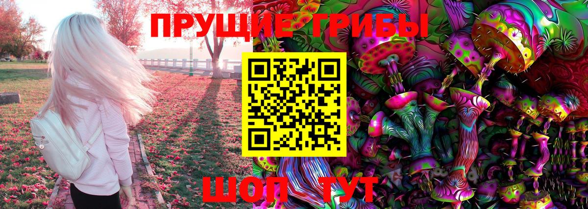 Псилоцибиновые грибы Magic Shrooms  Вход с VPN  Галлюциногенные грибы Magic Shrooms  Усть-Джегута 