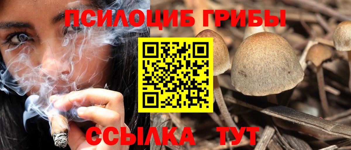 Псилоцибиновые грибы ЛСД Усть-Джегута
